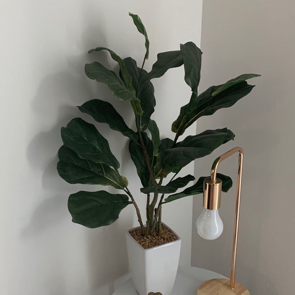 Beautiful faux plant